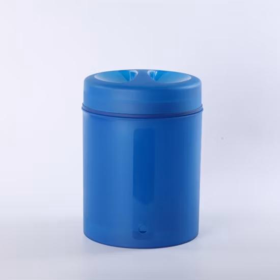 Filtro dell'acqua Big Blue di nuovo design da 20 litri per acqua potabile diretta con 2 elementi filtranti compositi in asta di carbonio ceramico